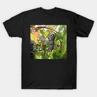 Grape T-Shirt